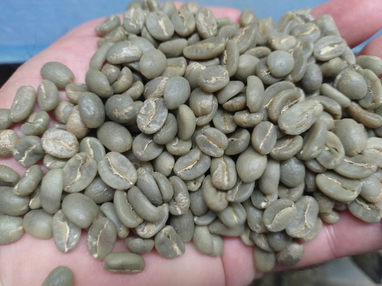 Café rastreável