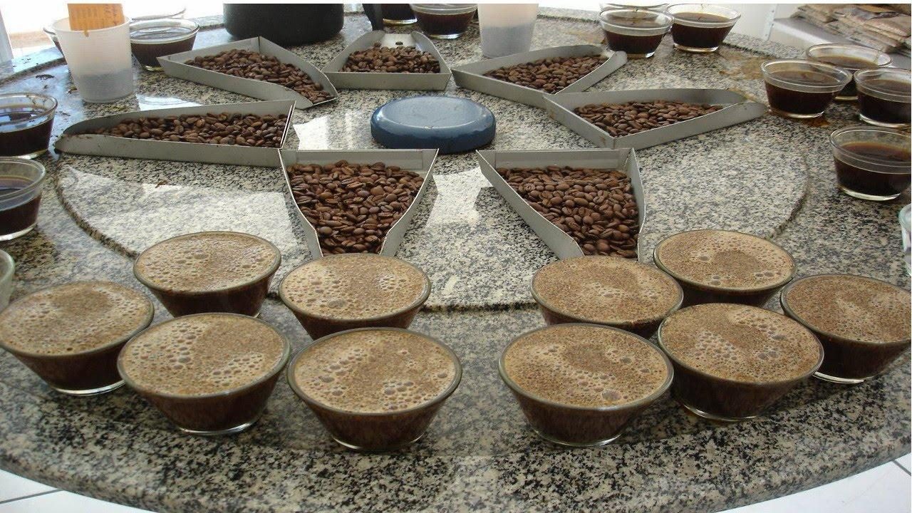 Mesa de cupping interno