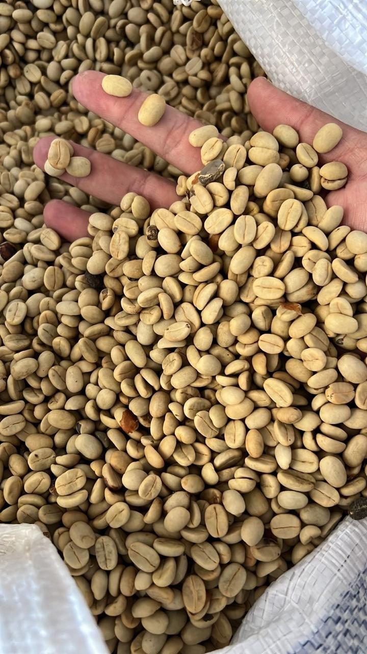 Cereja madura no pé